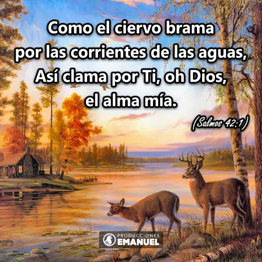 Verso del día - Cita Biblica - 2022-05-18.webp
